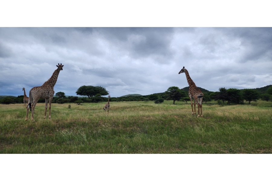 4 Bedroom Property for Sale in Intaba Indle Wilderness Estate Limpopo