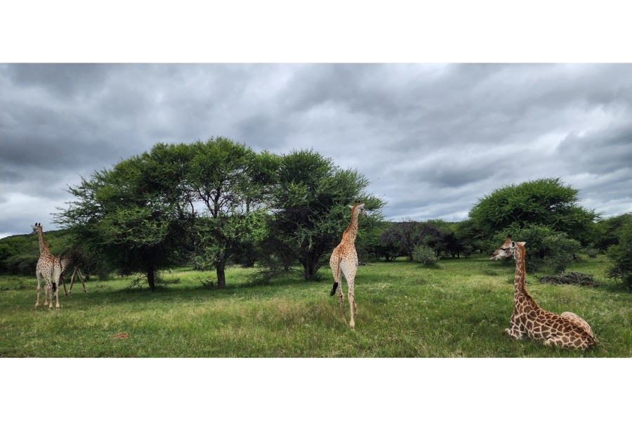 4 Bedroom Property for Sale in Intaba Indle Wilderness Estate Limpopo