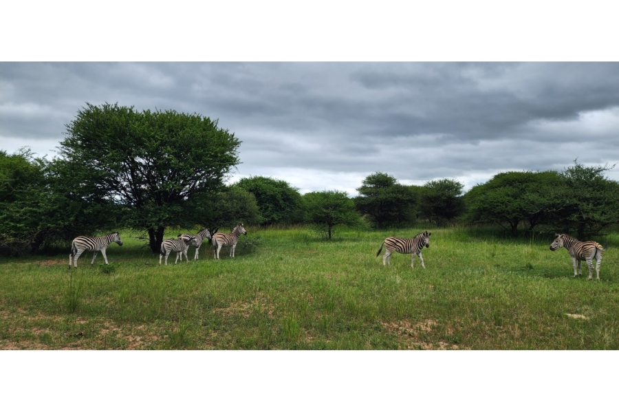 4 Bedroom Property for Sale in Intaba Indle Wilderness Estate Limpopo