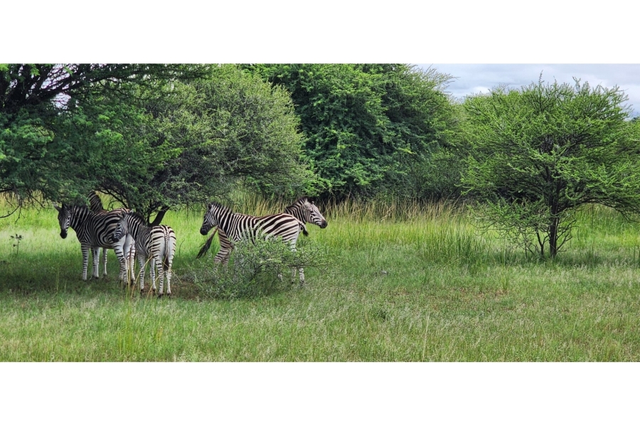 4 Bedroom Property for Sale in Intaba Indle Wilderness Estate Limpopo