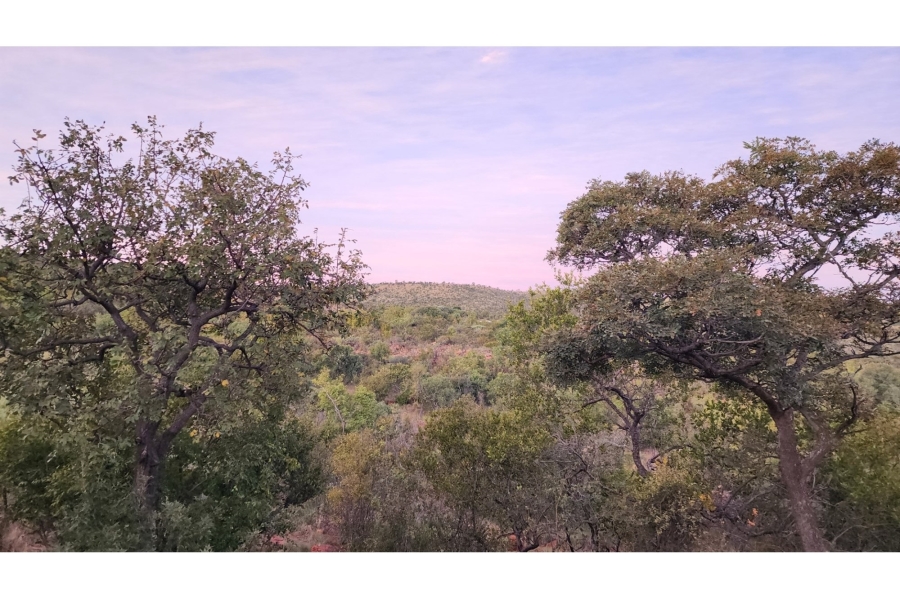 4 Bedroom Property for Sale in Zwartkloof Private Game Reserve Limpopo