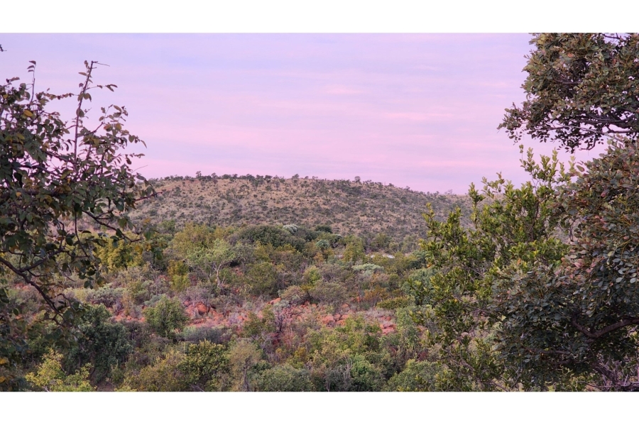 4 Bedroom Property for Sale in Zwartkloof Private Game Reserve Limpopo