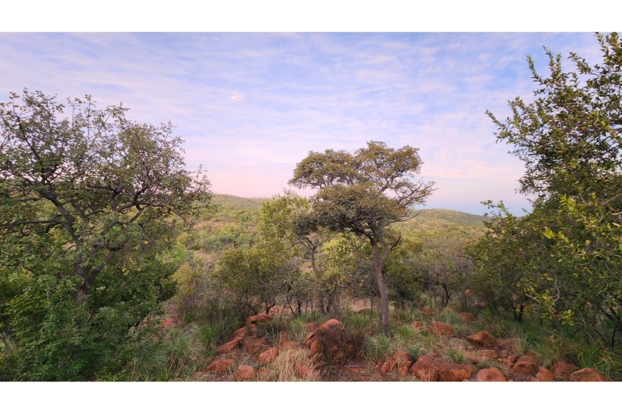4 Bedroom Property for Sale in Zwartkloof Private Game Reserve Limpopo