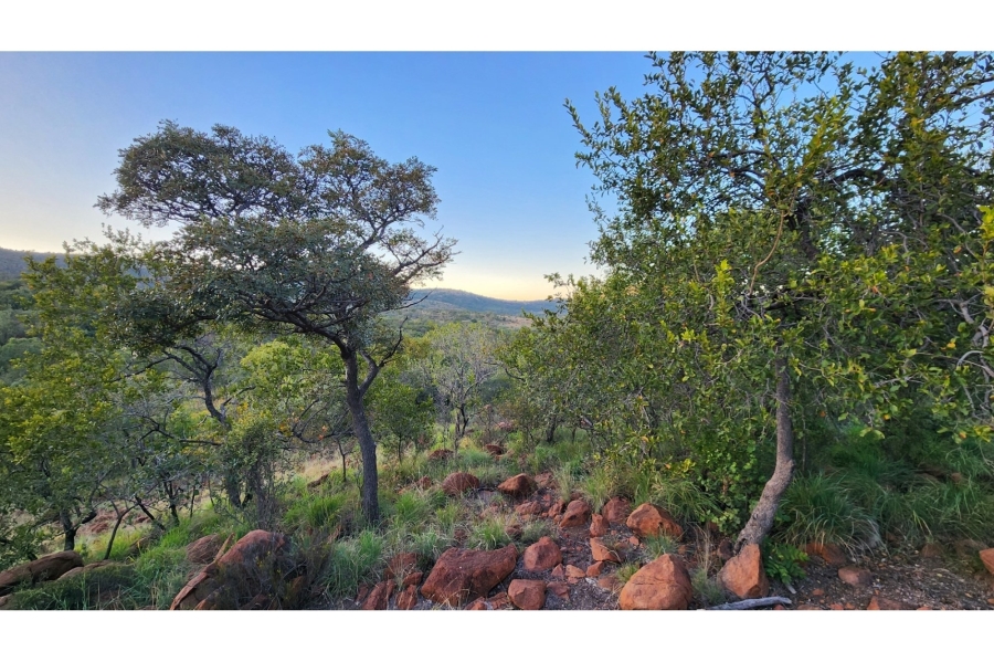 4 Bedroom Property for Sale in Zwartkloof Private Game Reserve Limpopo
