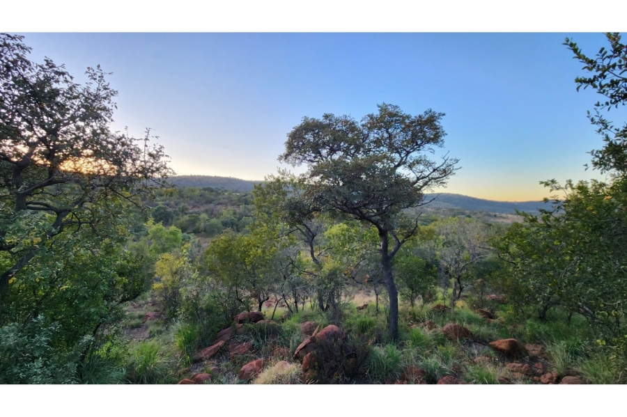 4 Bedroom Property for Sale in Zwartkloof Private Game Reserve Limpopo
