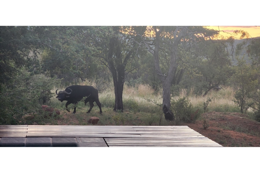 4 Bedroom Property for Sale in Zwartkloof Private Game Reserve Limpopo