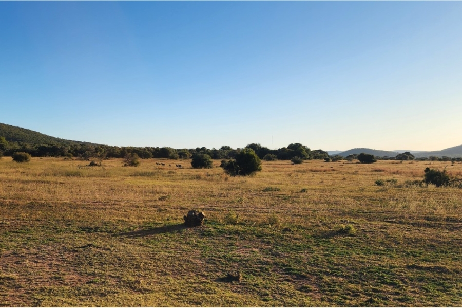 6 Bedroom Property for Sale in Mabula Private Game Lodge Limpopo