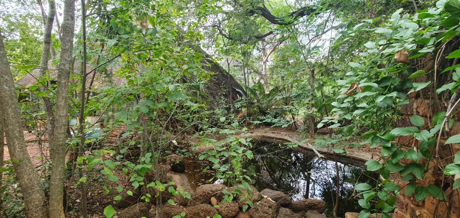 0 Bedroom Property for Sale in Mookgopong Limpopo