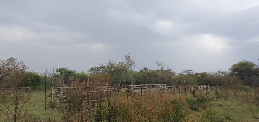 0 Bedroom Property for Sale in Mookgopong Limpopo