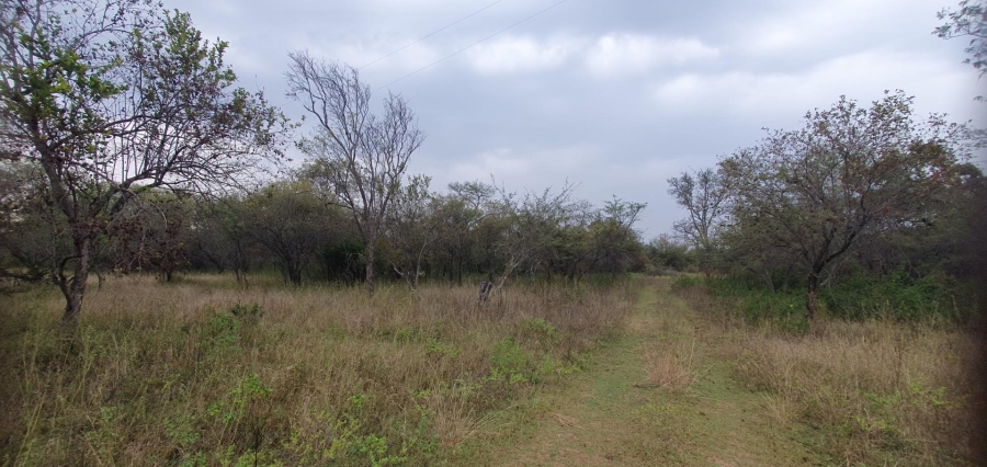 0 Bedroom Property for Sale in Mookgopong Limpopo