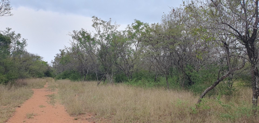 0 Bedroom Property for Sale in Mookgopong Limpopo
