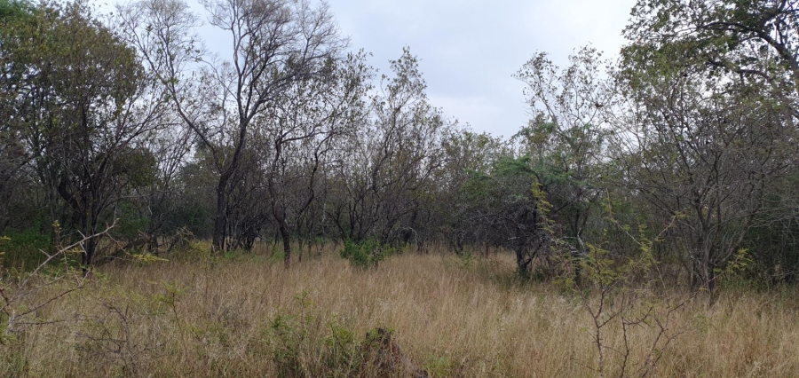 0 Bedroom Property for Sale in Mookgopong Limpopo