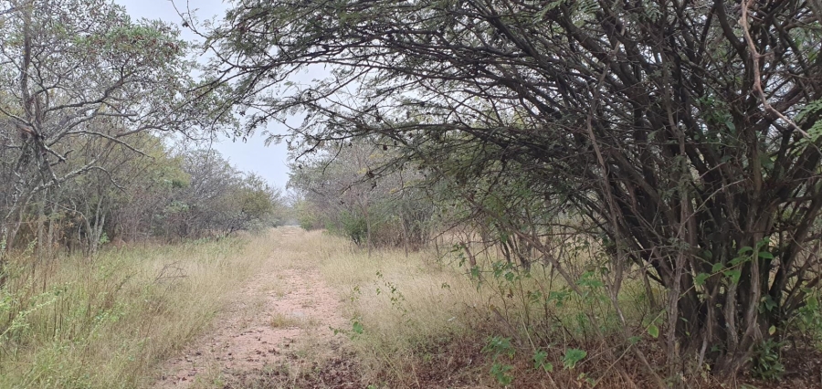 0 Bedroom Property for Sale in Mookgopong Limpopo