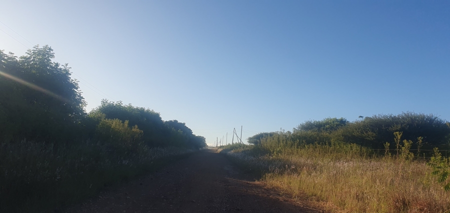 0 Bedroom Property for Sale in Doornbult Limpopo