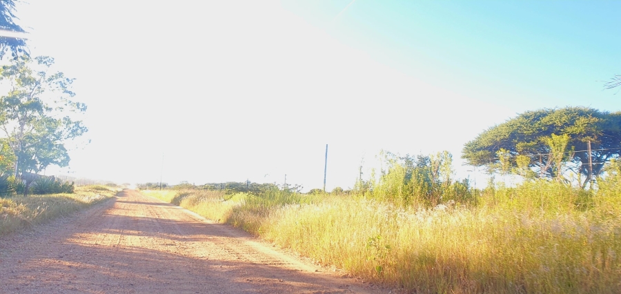 0 Bedroom Property for Sale in Doornbult Limpopo