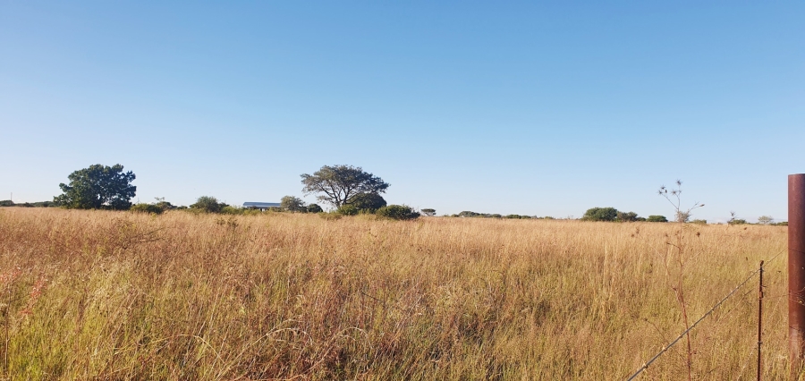 0 Bedroom Property for Sale in Doornbult Limpopo