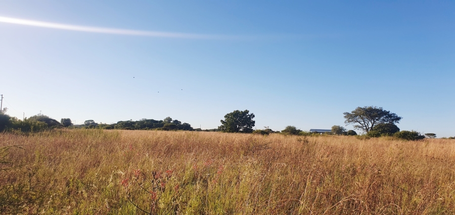 0 Bedroom Property for Sale in Doornbult Limpopo