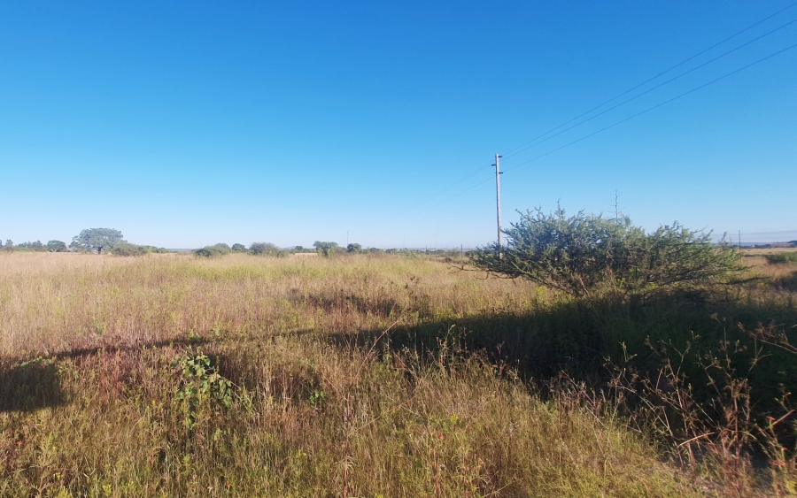 0 Bedroom Property for Sale in Doornbult Limpopo