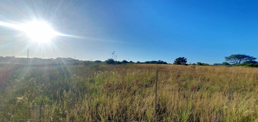 0 Bedroom Property for Sale in Doornbult Limpopo