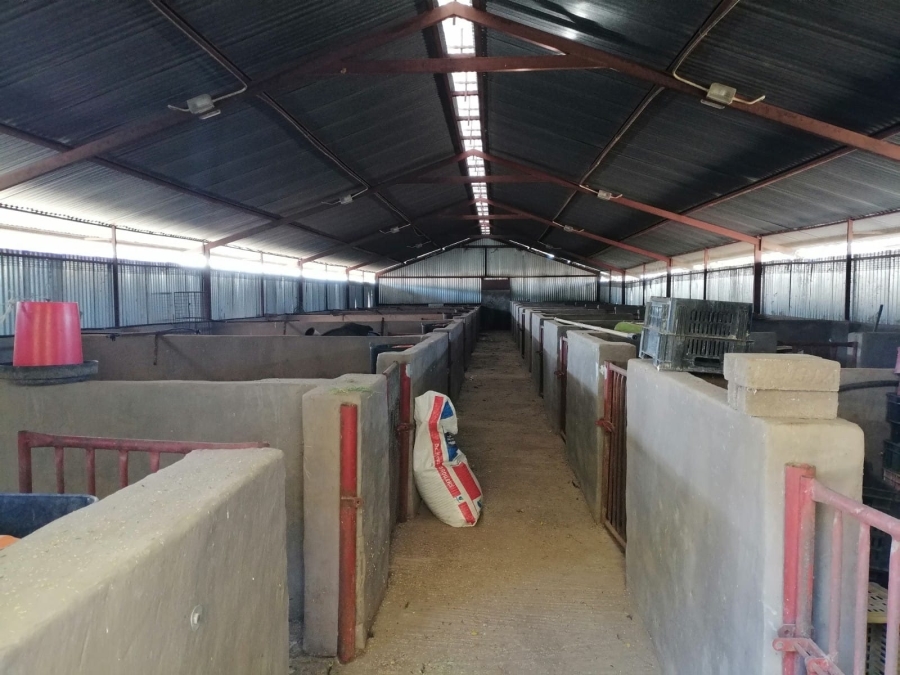 4 Bedroom Property for Sale in Bela Bela Limpopo
