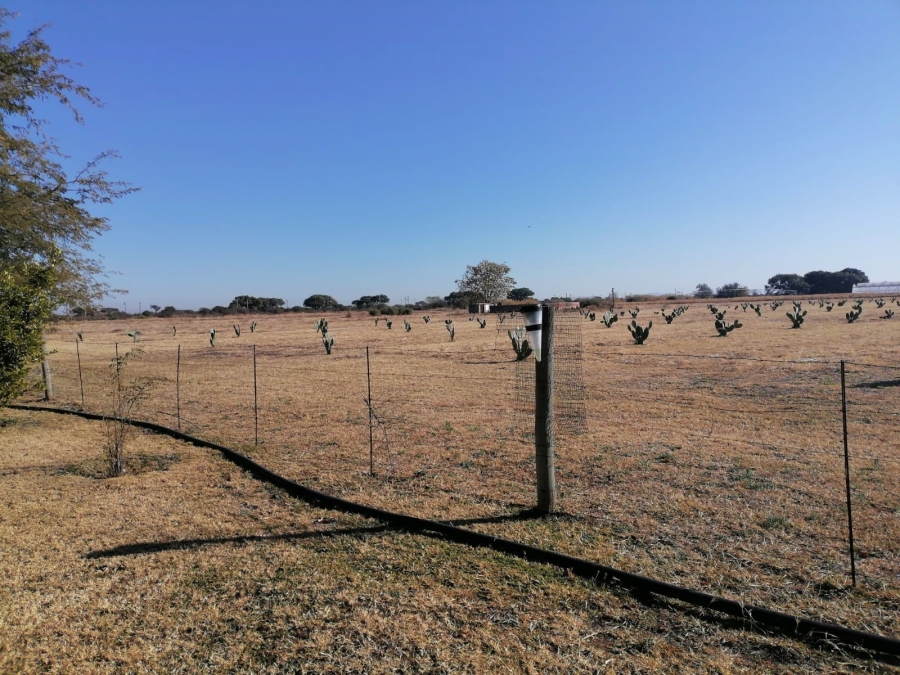 4 Bedroom Property for Sale in Bela Bela Limpopo