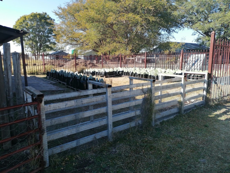 4 Bedroom Property for Sale in Bela Bela Limpopo