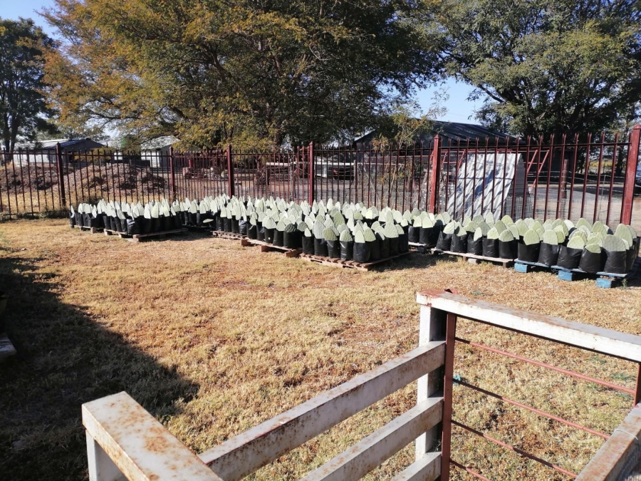 4 Bedroom Property for Sale in Bela Bela Limpopo