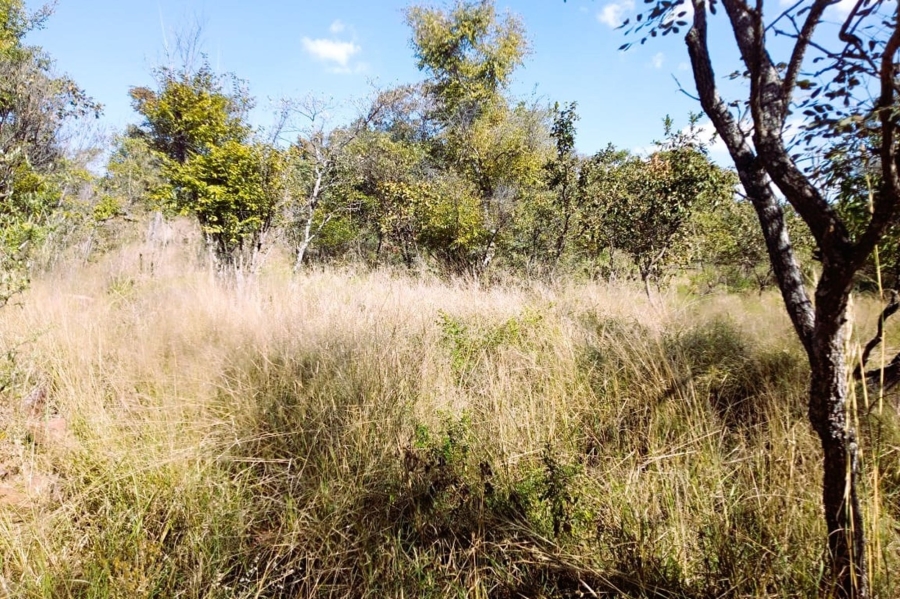 0 Bedroom Property for Sale in Negester Klein Kariba Limpopo