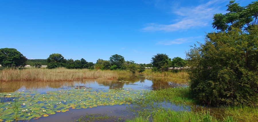 3 Bedroom Property for Sale in Modimolle Limpopo