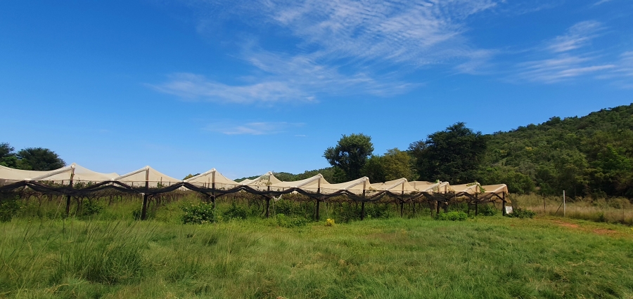3 Bedroom Property for Sale in Modimolle Limpopo