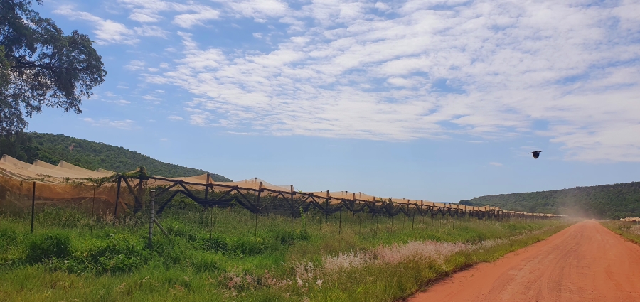 3 Bedroom Property for Sale in Modimolle Limpopo