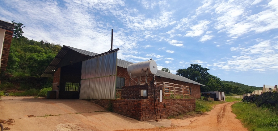 3 Bedroom Property for Sale in Modimolle Limpopo