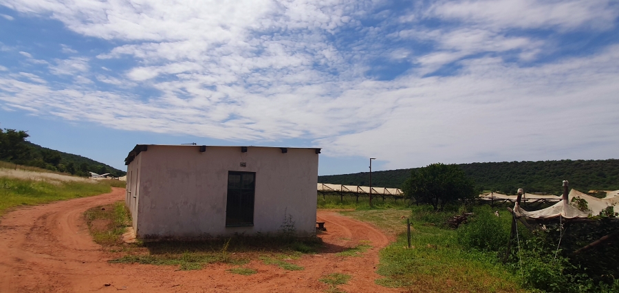 3 Bedroom Property for Sale in Modimolle Limpopo