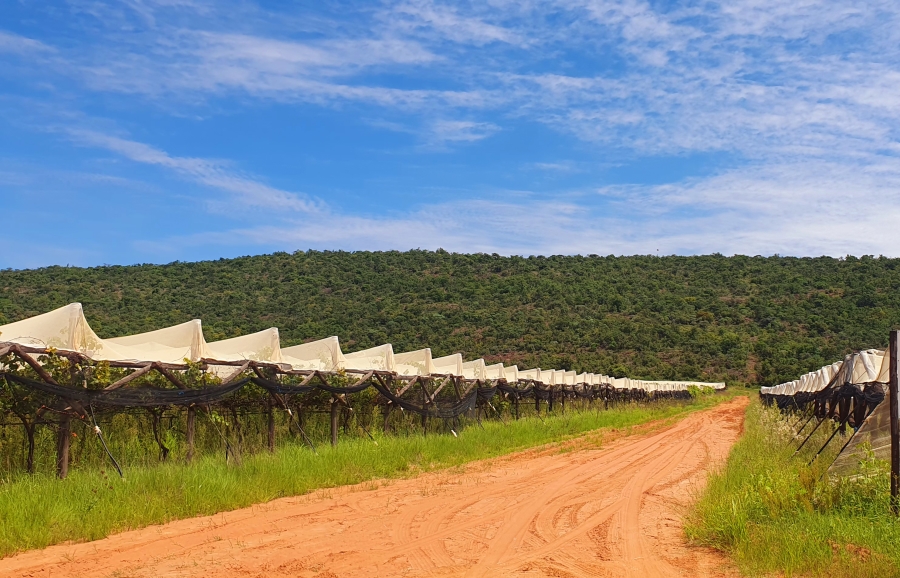 3 Bedroom Property for Sale in Modimolle Limpopo