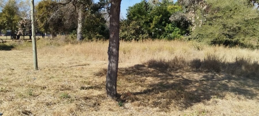 0 Bedroom Property for Sale in Onverwacht Limpopo