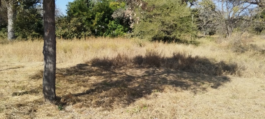 0 Bedroom Property for Sale in Onverwacht Limpopo