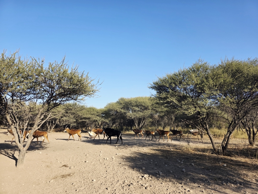 12 Bedroom Property for Sale in Roedtan Limpopo