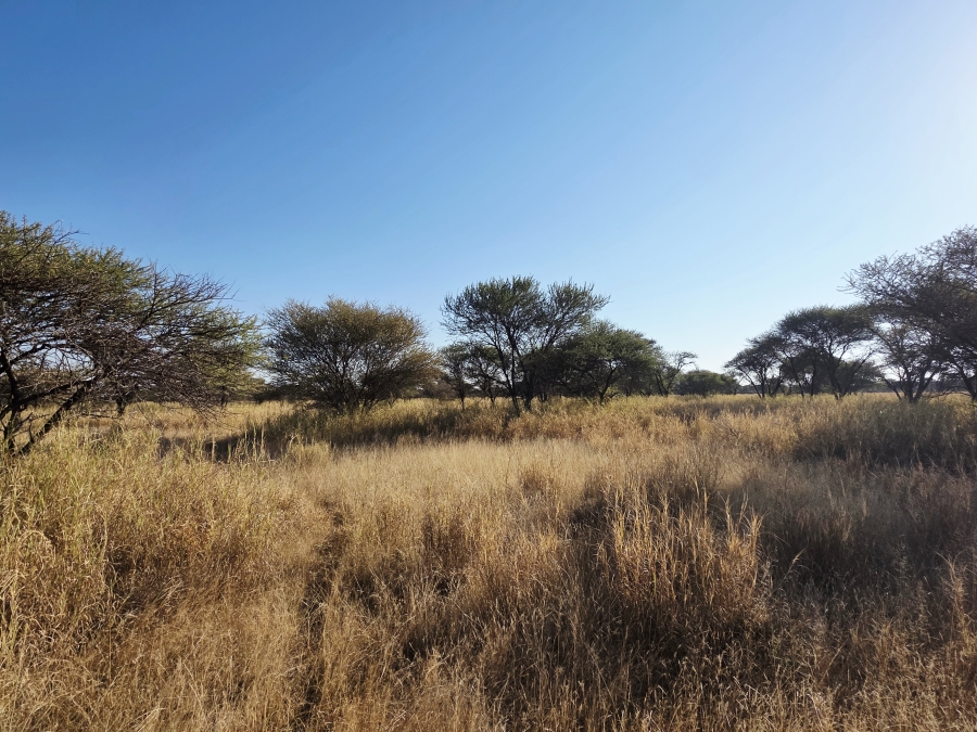 12 Bedroom Property for Sale in Roedtan Limpopo