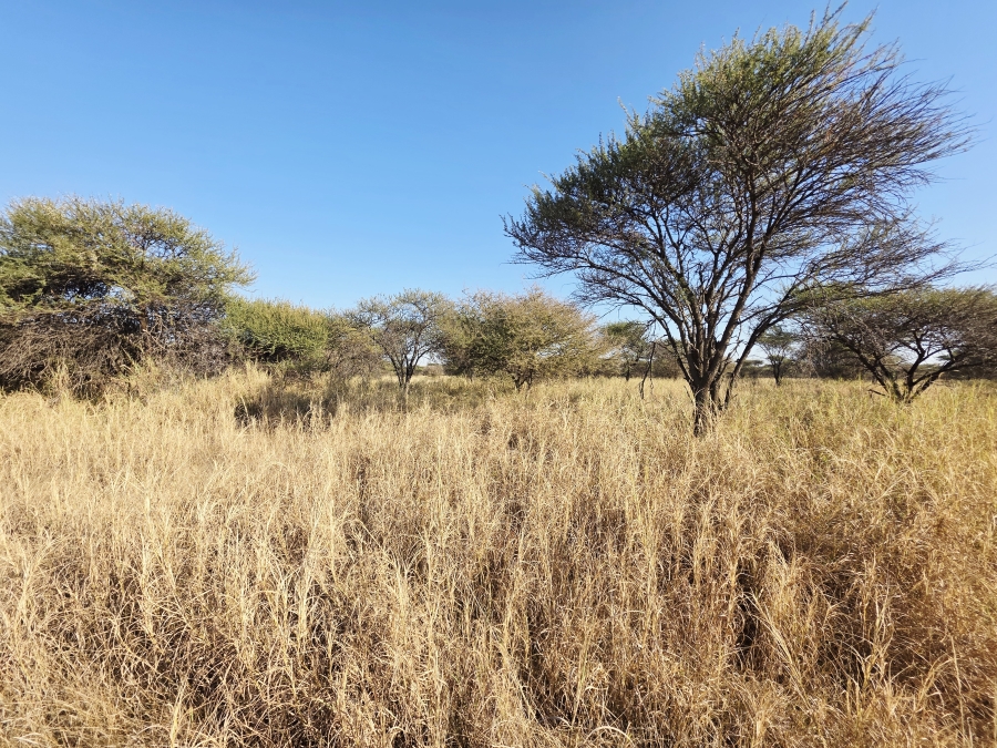 12 Bedroom Property for Sale in Roedtan Limpopo