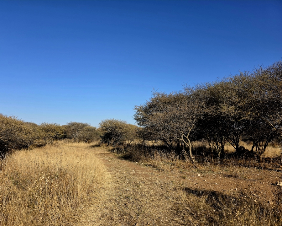 12 Bedroom Property for Sale in Roedtan Limpopo