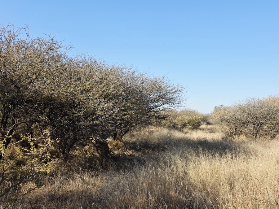 12 Bedroom Property for Sale in Roedtan Limpopo