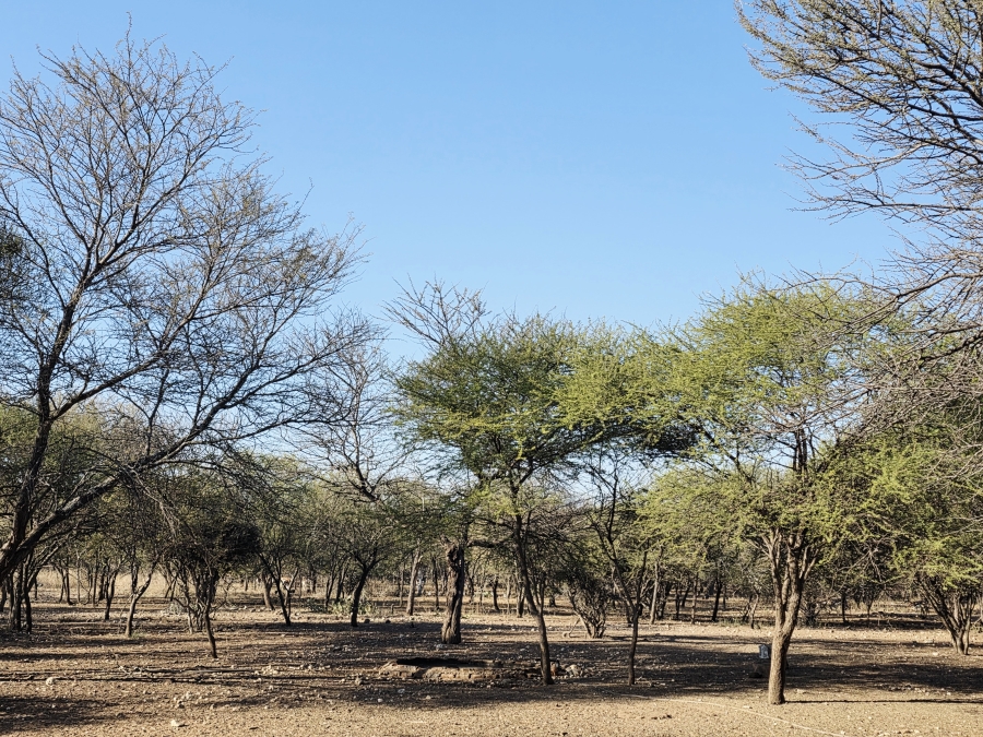 12 Bedroom Property for Sale in Roedtan Limpopo