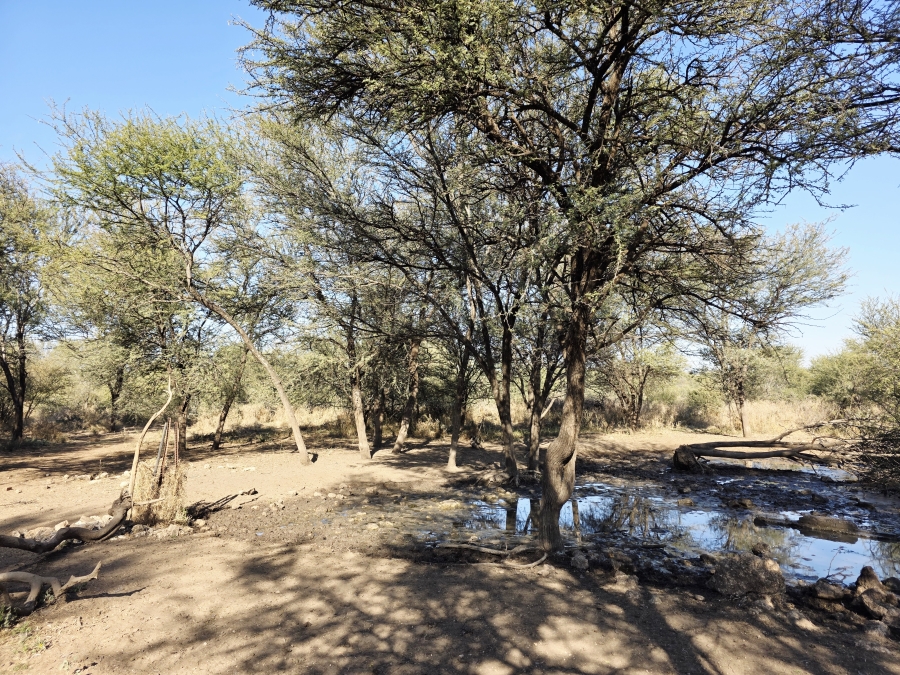 12 Bedroom Property for Sale in Roedtan Limpopo