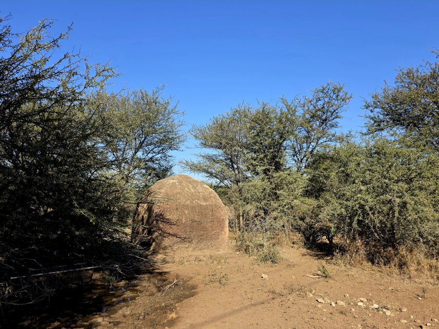 12 Bedroom Property for Sale in Roedtan Limpopo