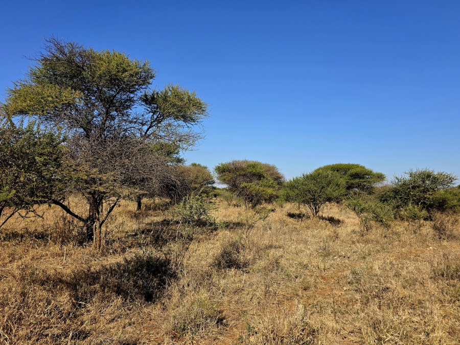 12 Bedroom Property for Sale in Roedtan Limpopo