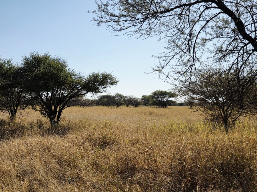 12 Bedroom Property for Sale in Roedtan Limpopo