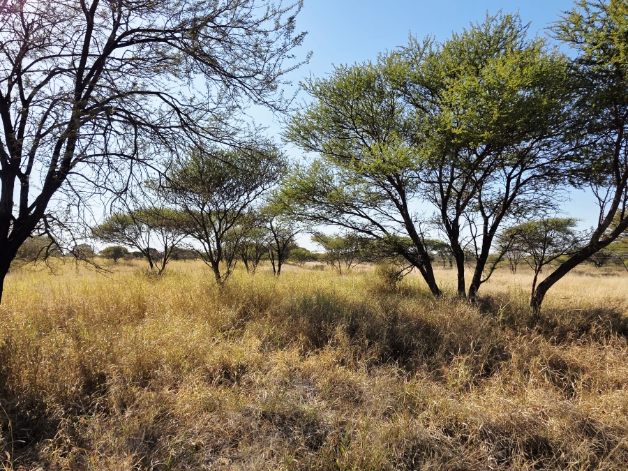12 Bedroom Property for Sale in Roedtan Limpopo