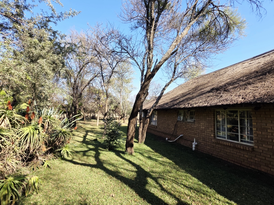 12 Bedroom Property for Sale in Roedtan Limpopo