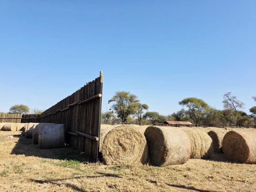 12 Bedroom Property for Sale in Roedtan Limpopo
