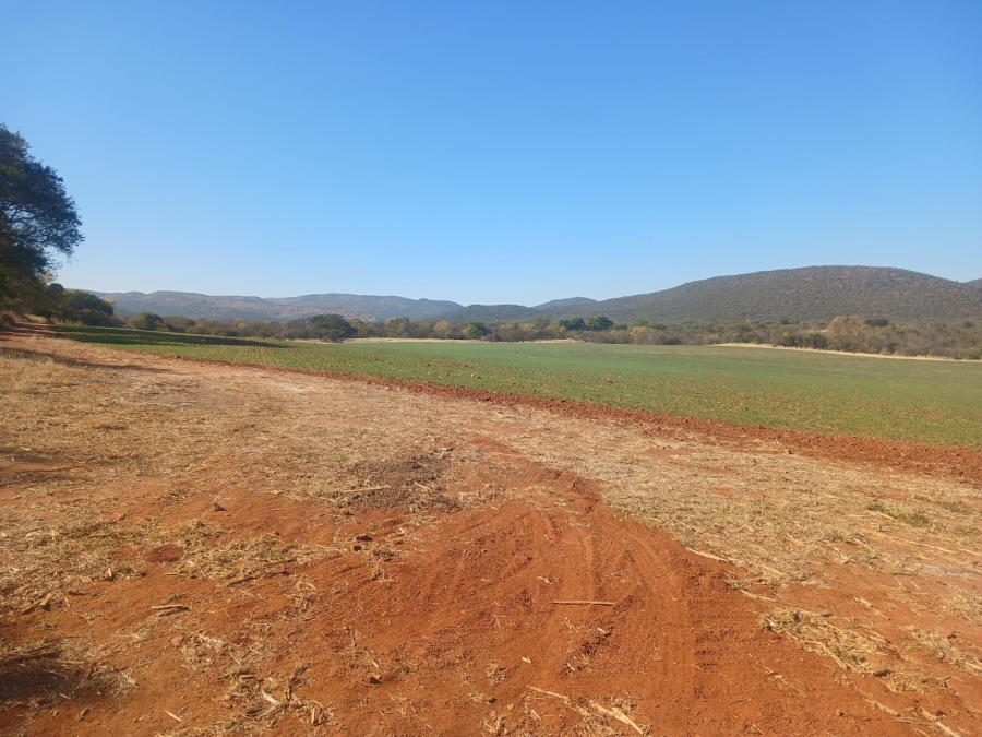 4 Bedroom Property for Sale in Groblersdal Limpopo